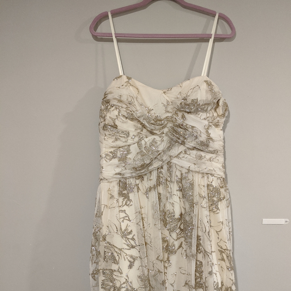 Plus Size Cream and Glitter Special Occasion Dress